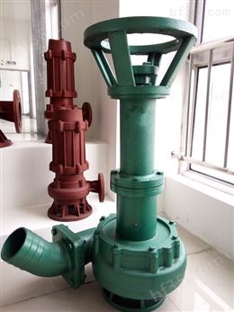 NL立式液下泥浆泵污水淤泥长杆泵抽粪泵污水杂质泵