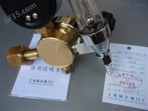 上海繁瑞氦气钢瓶减压阀YQH-LLJ氦气减压器YQH LLJ氦气减压表YQH压力表*