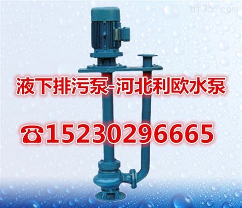 100YW100-15-7.5液下排污泵单双管河道清淤泵液下泥浆泵立式泥浆泵