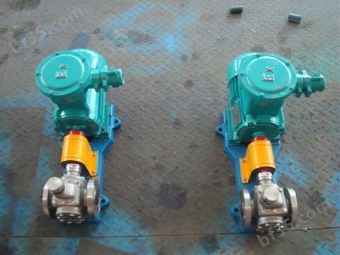 东森专业研制生产不锈钢圆弧齿轮油泵/不锈钢泵/抽油泵