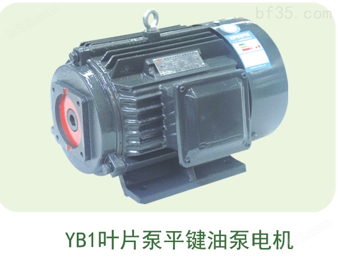供应内轴电机，Y2JD液压电机，YB1叶片泵配套电机