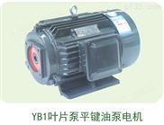 YB1-供应内轴电机，Y2JD液压电机，YB1叶片泵配套电机