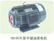 供应内轴电机，Y2JD液压电机，YB1叶片泵配套电机