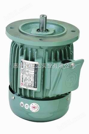 源立水泵A3-Y2系列标准电机
