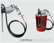 ExYTB-60防爆油桶泵/荣达泵阀