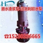 潜水渣浆泵50ZJQ45-19杂质泥浆泵稠物吸浆泵带搅拌泵吸沙泵