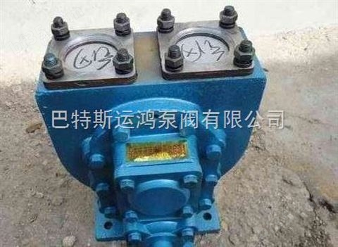 恒运YHCB型汽油车圆弧齿轮泵价格
