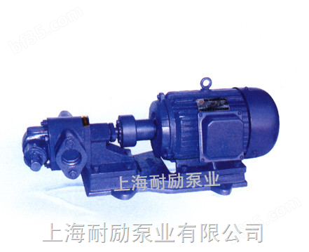 KCB型齿轮油泵 齿轮式输油泵（铜齿轮）