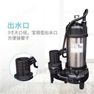 中国台湾博士多2寸400W便携式单相潜水泵