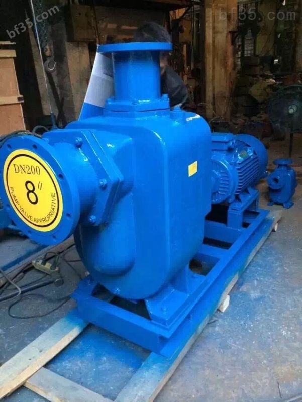 供应ZW125-120-20直联式自吸排污泵,自吸排污泵安装,高杨程自吸泵